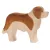 CÂINE SAINT BERNARD OSTHEIMER