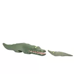 CROCODIL OSTHEIMER
