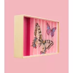BILLES & CO ÜVEGGOLYÓ SZETT -  BUTTERFLIES ANAMORPHIC BOX