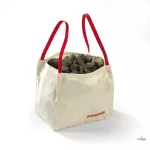 FAGUS SET SĂCULEȚE MARI – 2 BUCĂȚI