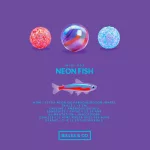 BILLES & CO ÜVEGGOLYÓ SZETT -  NEON FISH MINIBOX