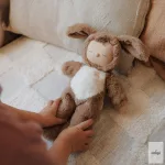 OLLIELLA COZY DINKUM KUTYA, DIGBI