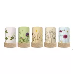 TOVERLUX SZILUETT SZETT A LÁMPÁSBA,   Beth Kendall - Pressed Garden Blooms