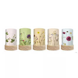   TOVERLUX SZILUETT SZETT A LÁMPÁSBA,   Beth Kendall - Pressed Garden Blooms