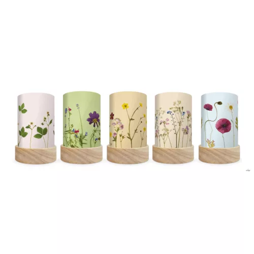 TOVERLUX SZILUETT SZETT A LÁMPÁSBA,   Beth Kendall - Pressed Garden Blooms