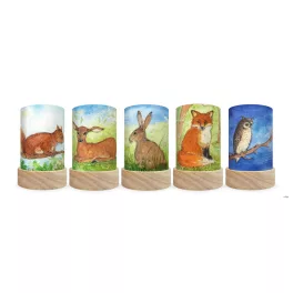   TOVERLUX SZILUETT SZETT A LÁMPÁSBA,  Eentje van Margo - Forest Animals
