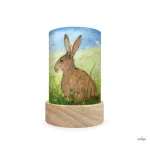TOVERLUX SZILUETT SZETT A LÁMPÁSBA,  Eentje van Margo - Forest Animals