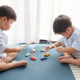 PLANTOYS játékok